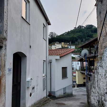 Vila Casa Vale Do Rio Penacova Exteriér fotografie